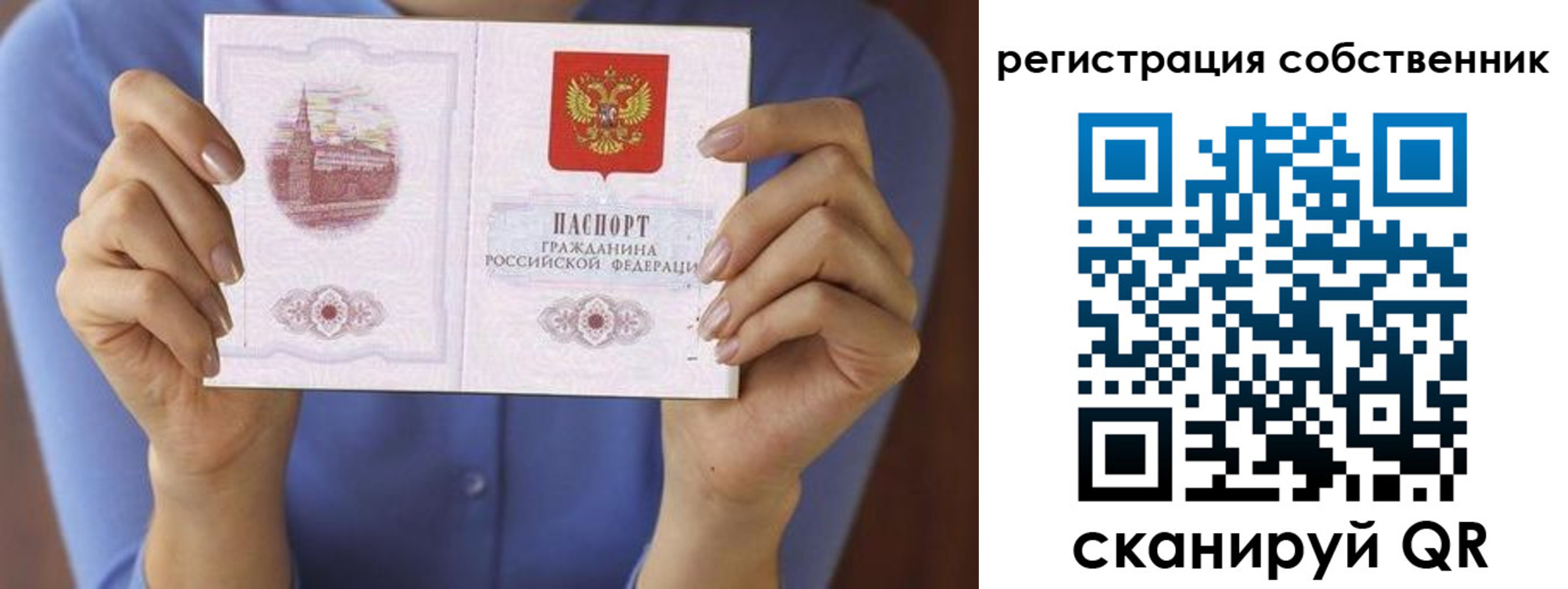 временная регистрация гарантия в Сольцах