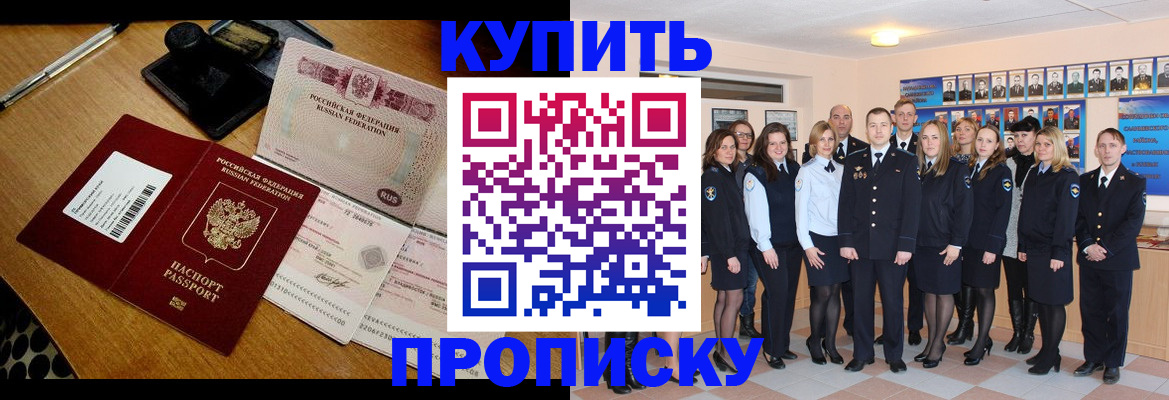 прописка 2025 в Сольцах